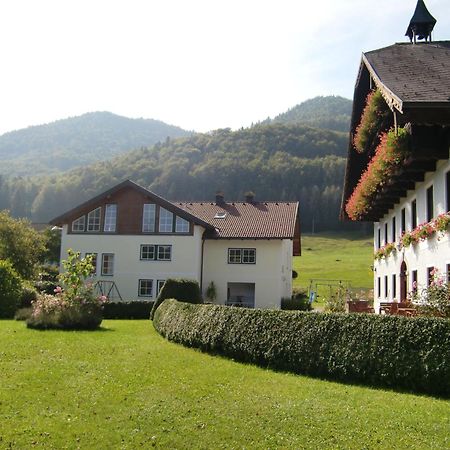 Pension Hohenau Hotel Fuschl am See Eksteriør billede