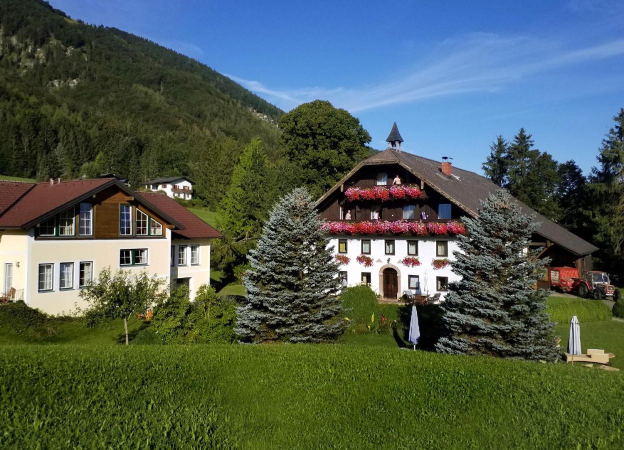 Pension Hohenau Hotel Fuschl am See Eksteriør billede