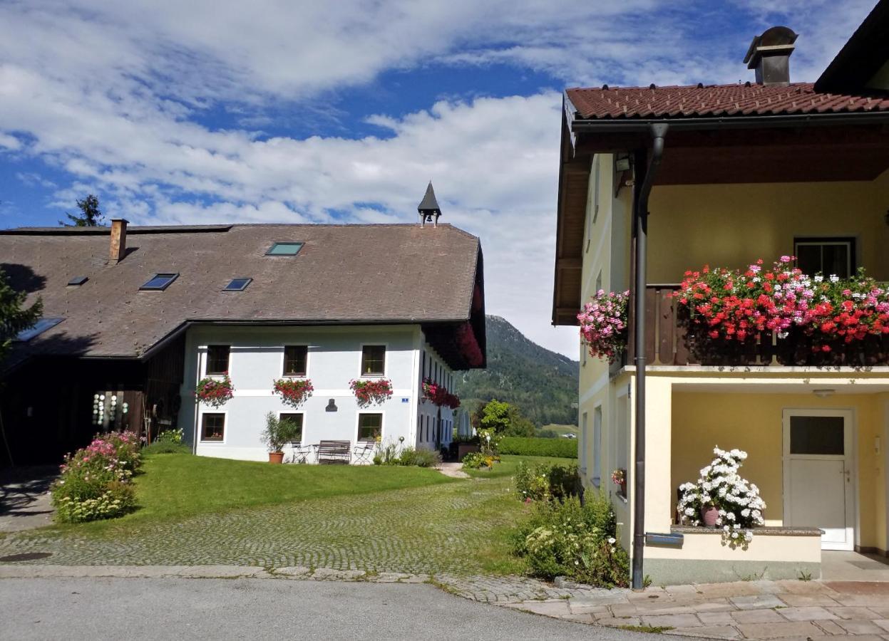 Pension Hohenau Hotel Fuschl am See Eksteriør billede