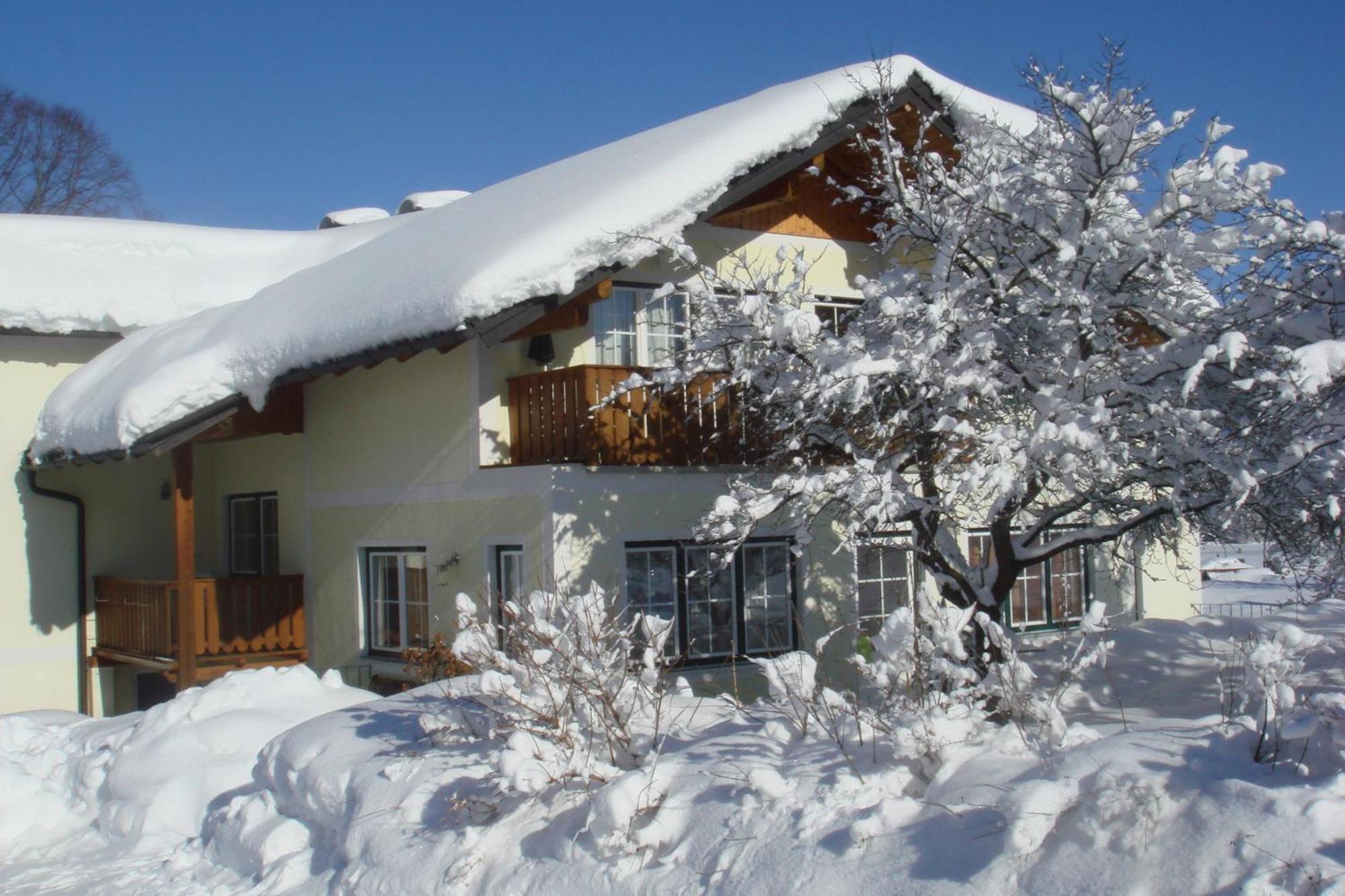Pension Hohenau Hotel Fuschl am See Eksteriør billede